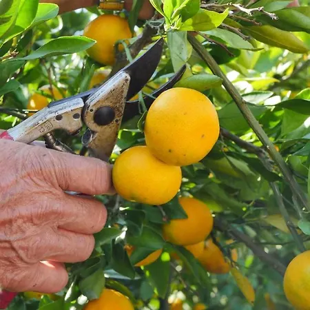 Agroturizem Shega شكودر