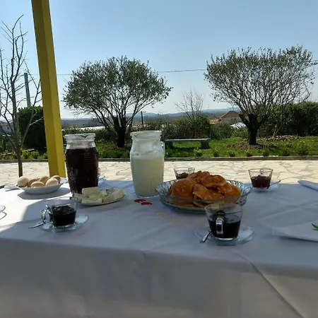 Guest house Agroturizem Shega