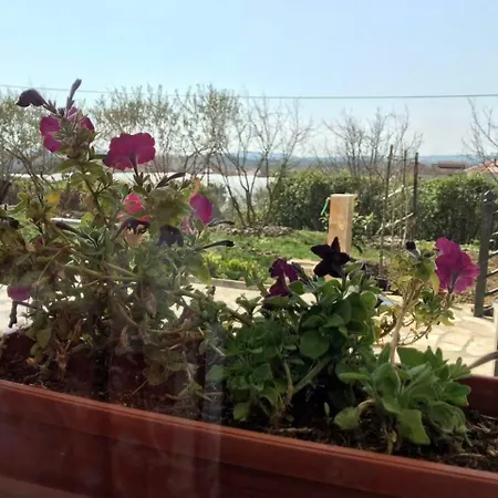 بيت ضيافة Agroturizem Shega شكودر