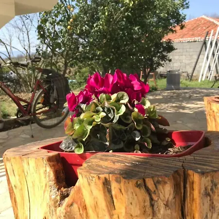 Agroturizem Shega بيت ضيافة