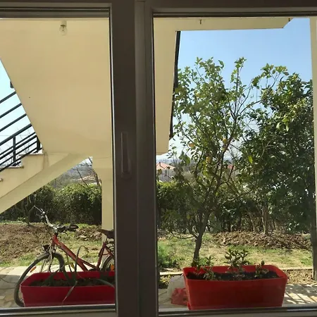 Agroturizem Shega Guest house *