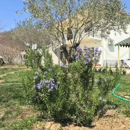 Guest house Agroturizem Shega *