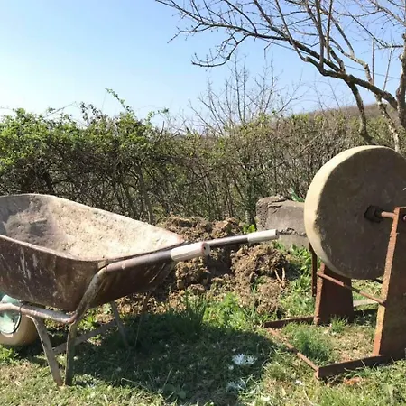 Agroturizem Shega Guest house