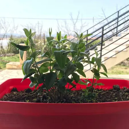 بيت ضيافة Agroturizem Shega *