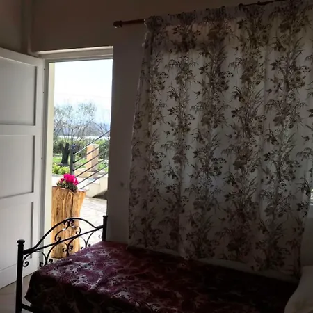 Agroturizem Shega Shkodër