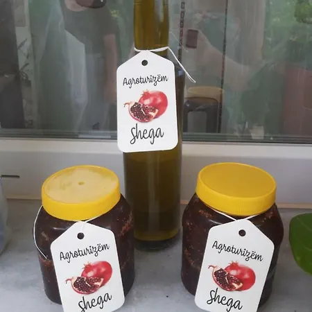Pensionat Agroturizem Shega *
